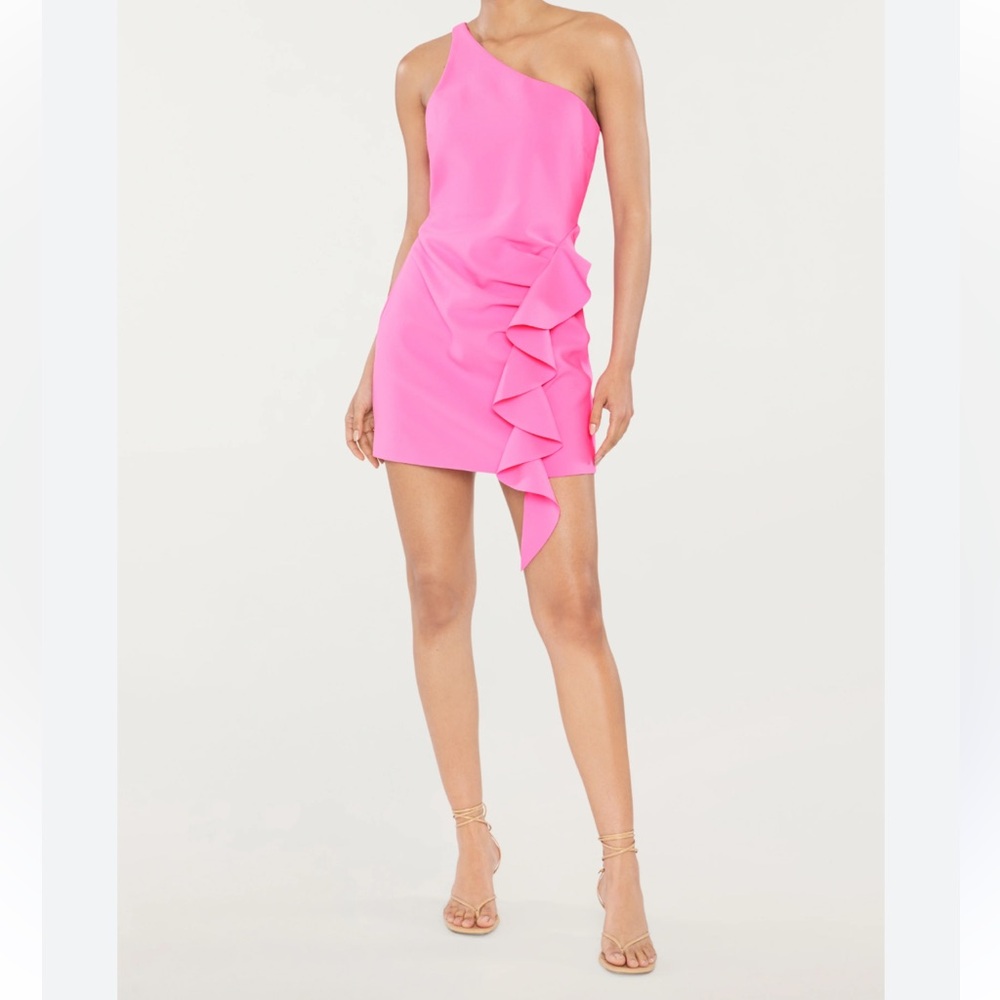 Lena Bold Pink Garment